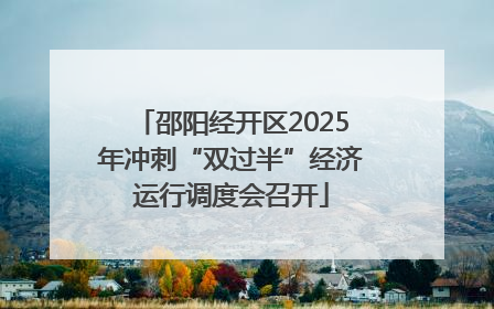 邵阳经开区2025年冲刺“双过半”经济运行调度会召开