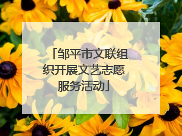 邹平市文联组织开展文艺志愿服务活动