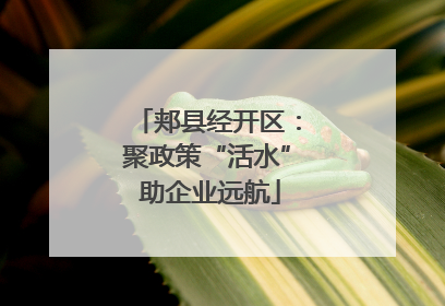 郏县经开区：聚政策“活水” 助企业远航