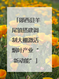 郧西县羊尾镇搭建调制大棚激活烟叶产业“新动能”