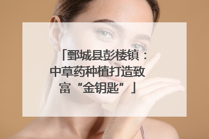 鄄城县彭楼镇：中草药种植打造致富“金钥匙”