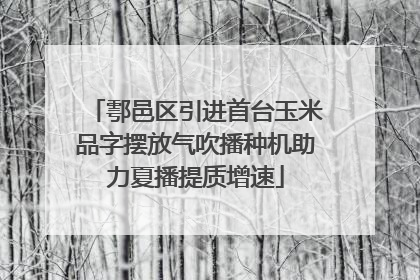 鄠邑区引进首台玉米品字摆放气吹播种机助力夏播提质增速