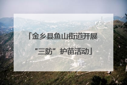金乡县鱼山街道开展“三防”护苗活动
