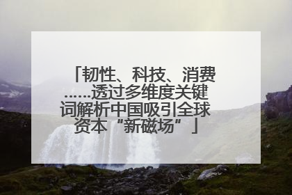 韧性、科技、消费……透过多维度关键词解析中国吸引全球资本“新磁场”