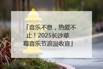 音乐不息，热爱不止！2025长沙草莓音乐节浪漫收官