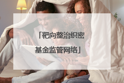 靶向整治织密基金监管网络