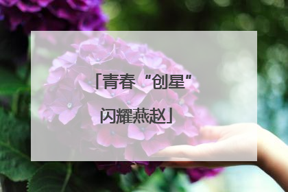 青春“创星” 闪耀燕赵