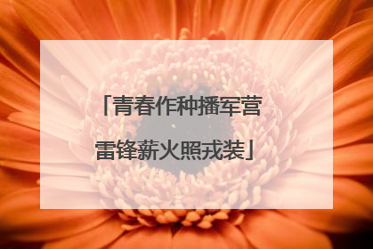 青春作种播军营 雷锋薪火照戎装