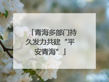 青海多部门持久发力共建“平安青海”