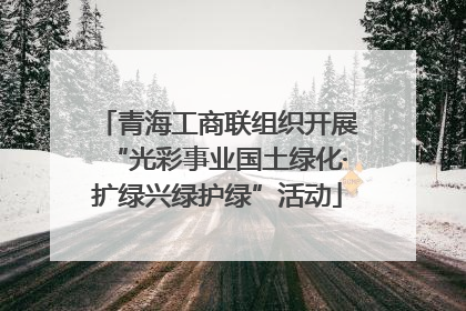 青海工商联组织开展“光彩事业国土绿化·扩绿兴绿护绿”活动