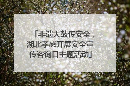 非遗大鼓传安全，湖北孝感开展安全宣传咨询日主题活动