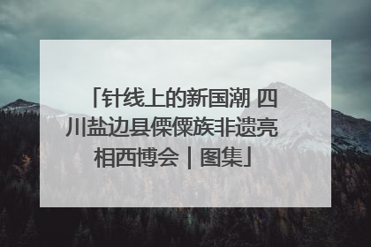 针线上的新国潮 四川盐边县傈僳族非遗亮相西博会｜图集