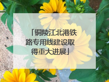 铜陵江北港铁路专用线建设取得重大进展