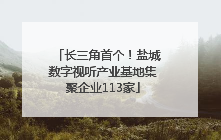 长三角首个！盐城数字视听产业基地集聚企业113家