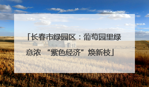 长春市绿园区：葡萄园里绿意浓 “紫色经济”焕新枝