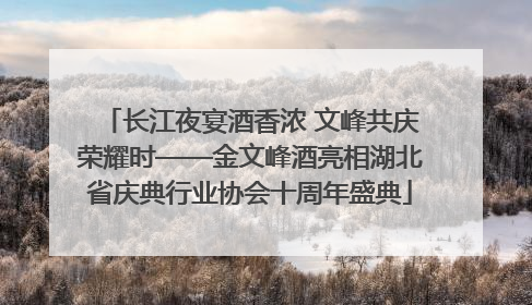 长江夜宴酒香浓 文峰共庆荣耀时——金文峰酒亮相湖北省庆典行业协会十周年盛典
