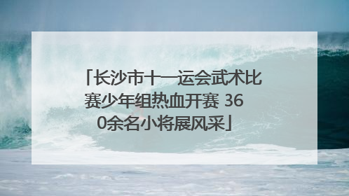 长沙市十一运会武术比赛少年组热血开赛 360余名小将展风采