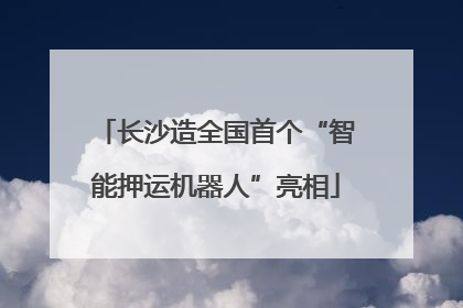 长沙造全国首个“智能押运机器人”亮相