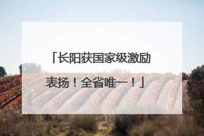 长阳获国家级激励表扬！全省唯一！