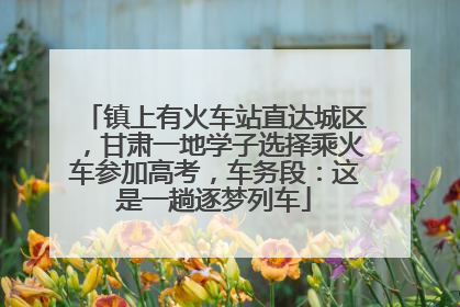 镇上有火车站直达城区，甘肃一地学子选择乘火车参加高考，车务段：这是一趟逐梦列车