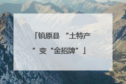 镇原县 “土特产”变“金招牌”