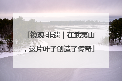 镜观·非遗｜在武夷山，这片叶子创造了传奇
