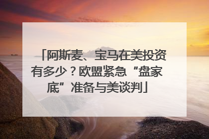 阿斯麦、宝马在美投资有多少？欧盟紧急“盘家底”准备与美谈判