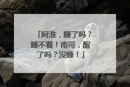 阿淮，睡了吗？睡不着！南哥，醒了吗？没睡！