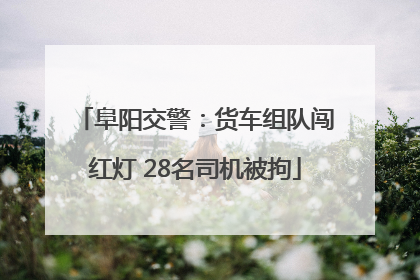 阜阳交警：货车组队闯红灯 28名司机被拘
