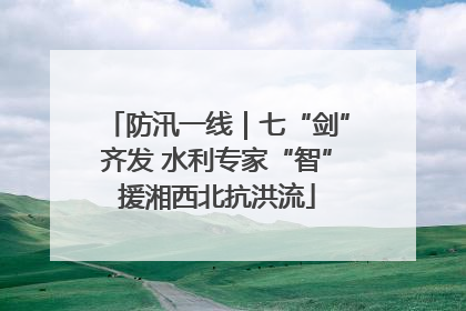 防汛一线｜七“剑”齐发 水利专家“智”援湘西北抗洪流