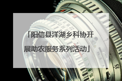 阳信县洋湖乡科协开展助农服务系列活动