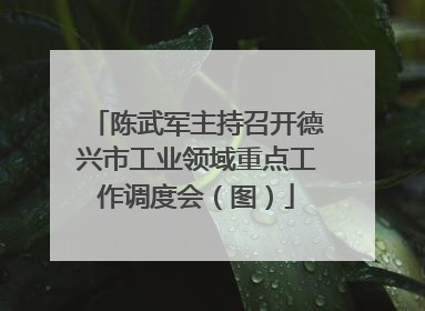陈武军主持召开德兴市工业领域重点工作调度会（图）