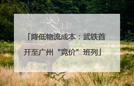 降低物流成本：武铁首开至广州“竞价”班列