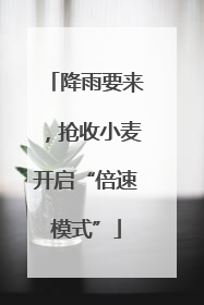 降雨要来，抢收小麦开启“倍速模式”