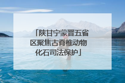 陕甘宁蒙晋五省区聚焦古脊椎动物化石司法保护