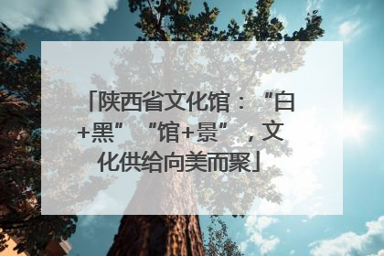 陕西省文化馆：“白+黑”“馆+景”，文化供给向美而聚