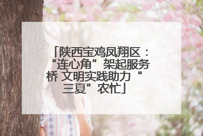 陕西宝鸡凤翔区：“连心角”架起服务桥 文明实践助力“三夏”农忙