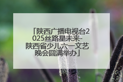 陕西广播电视台2025丝路星未来-陕西省少儿六一文艺晚会圆满举办