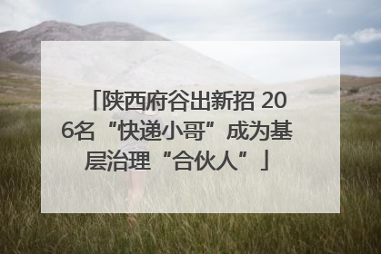 陕西府谷出新招 206名“快递小哥”成为基层治理“合伙人”