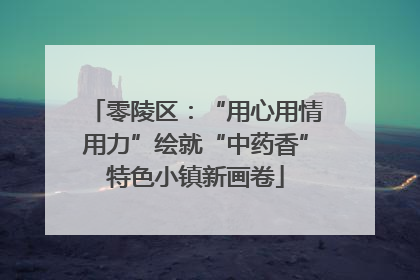 零陵区：“用心用情用力”绘就“中药香”特色小镇新画卷