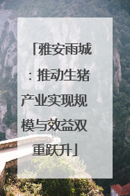 雅安雨城：推动生猪产业实现规模与效益双重跃升