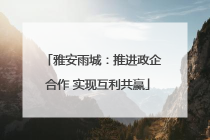 雅安雨城：推进政企合作 实现互利共赢