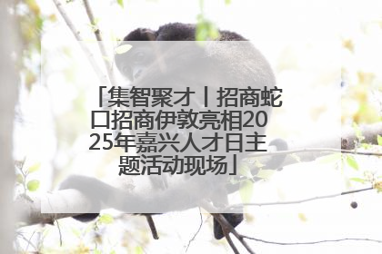 集智聚才丨招商蛇口招商伊敦亮相2025年嘉兴人才日主题活动现场