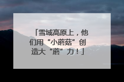 雪域高原上，他们用“小蘑菇”创造大“蘑”力！
