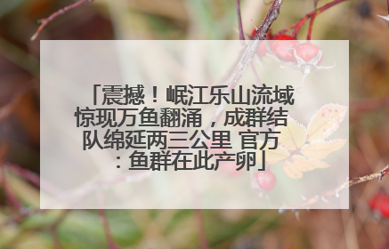 震撼！岷江乐山流域惊现万鱼翻涌，成群结队绵延两三公里 官方：鱼群在此产卵