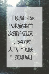 顶级国际马术赛事首次落户武汉，547对人马“飞跃”英雄城