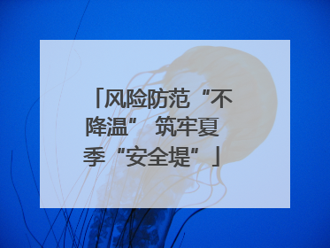 风险防范“不降温” 筑牢夏季“安全堤”