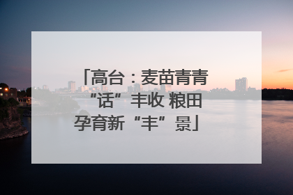 高台：麦苗青青“话”丰收 粮田孕育新“丰”景