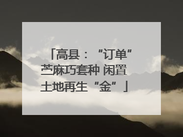 高县：“订单”苎麻巧套种 闲置土地再生“金”