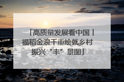 高质量发展看中国丨福稻金浪千重绘就乡村振兴“丰”景图